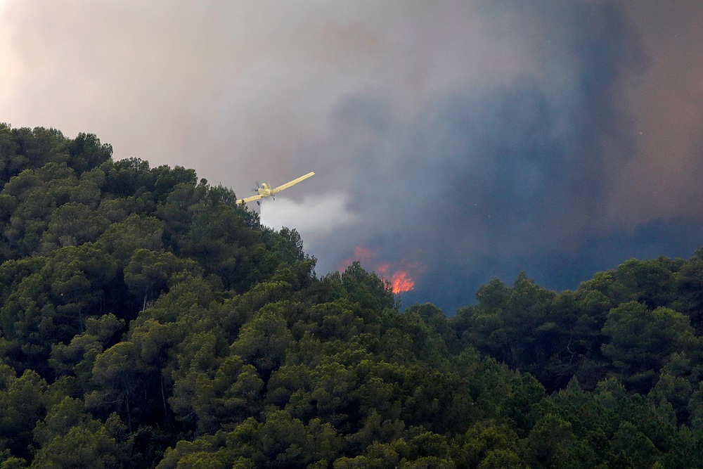 Incendio forestal en Santa Coloma de Queralt (Tarragona)  / SUSANNA SÁEZ