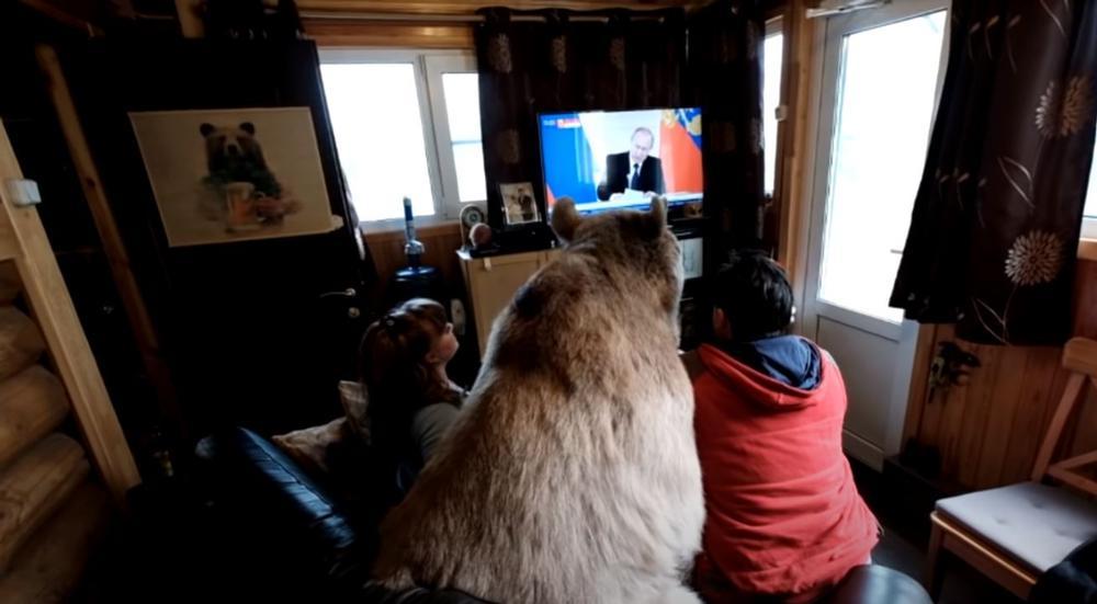 Ver la tele con un oso... lo normal en esta familia rusa