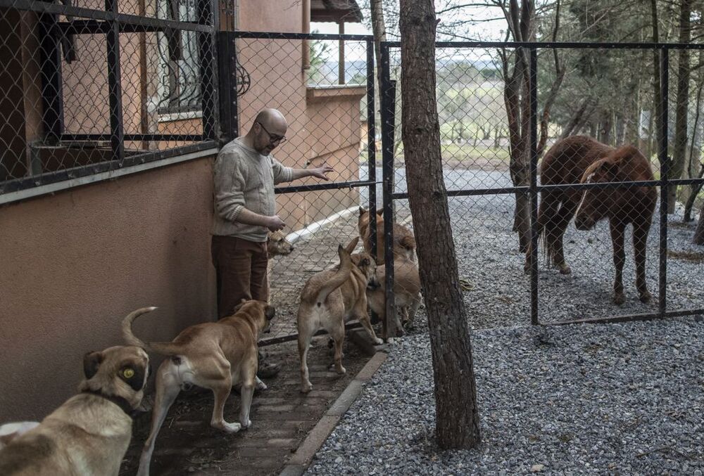 Turkish entrepeneur lives with dozens of animals  / ERDEM SAHIN