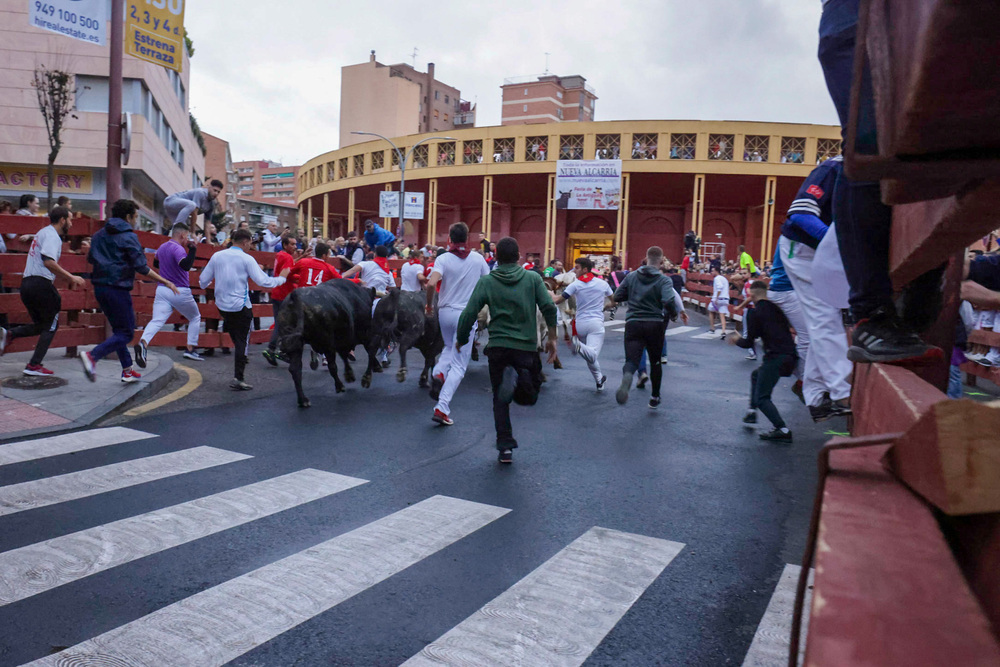 Imagen del primer encierro de la Feria taurina de La Antigua de 2022 a la altura del final de la calle Capitán Arenas.