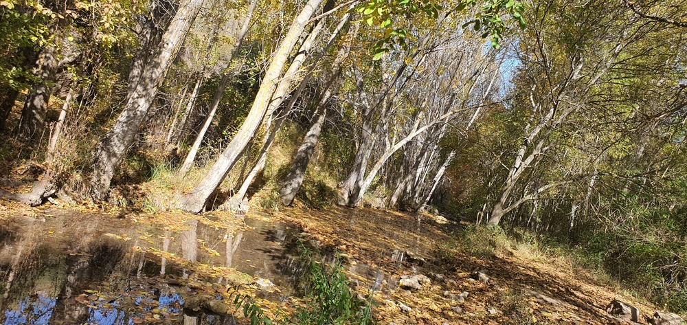 Imágenes del Parque Natural del Barranco del Río Dulce.