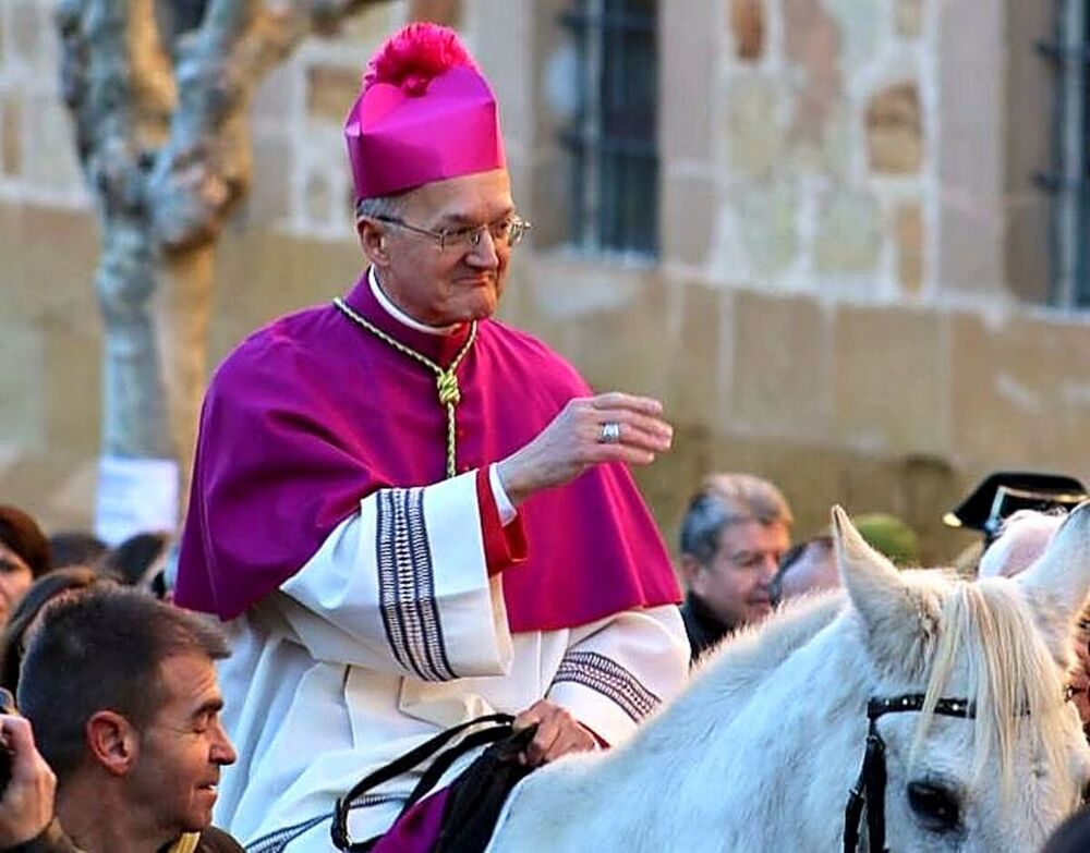 El nuevo obispo de Sigüenza-Guadalajara cumplió con la tradición y entró en la ciudad a lomos de una yegua blanca, de nombre ‘Ginebra’.  
