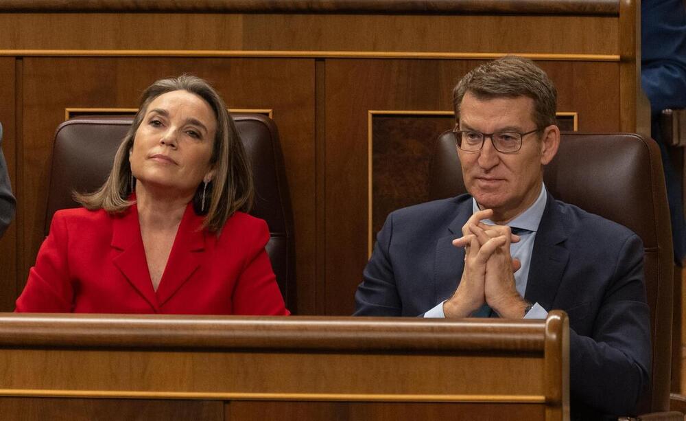 La secretaria general del PP, Cuca Gamarra y el presidente del PP, Alberto Núñez Feijóo, durante una sesión de control al Gobierno, en el Congreso de los Diputados, a 7 de febrero de 2024, en Madrid (España).
