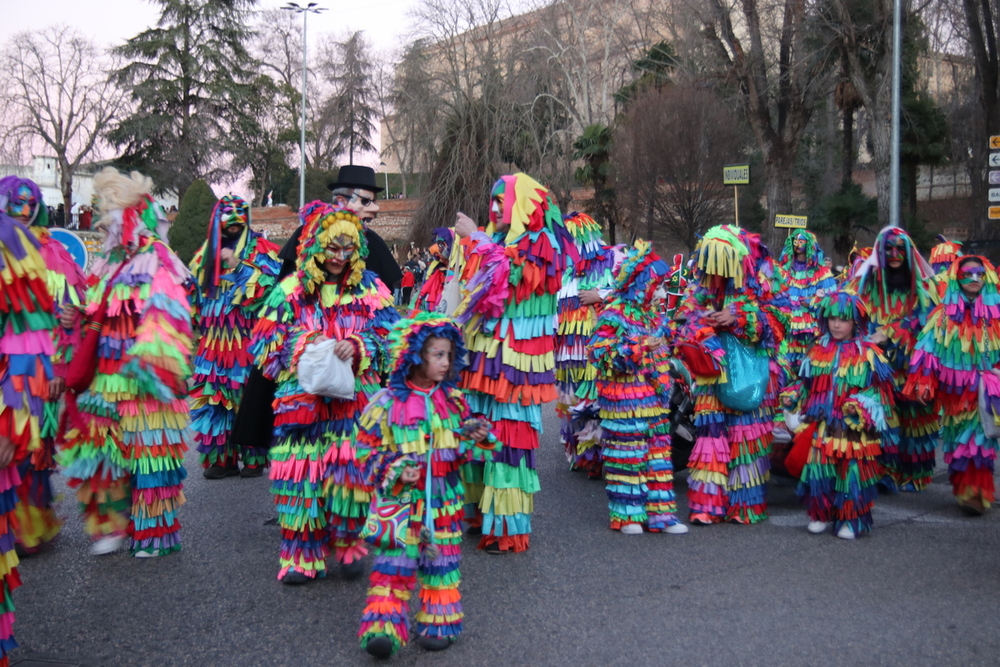 Varias imágenes del pregón y desfile del Carnaval de Guadalajara.