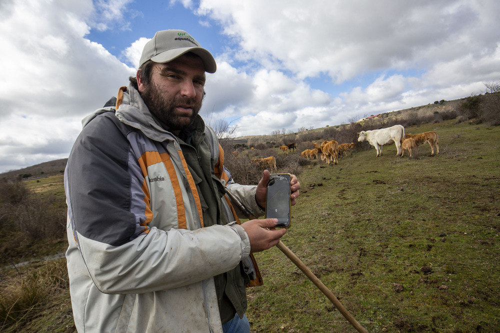 En la Sierra Norte, los ganaderos empiezan a estar familiarizados con las nuevas tecnologías 