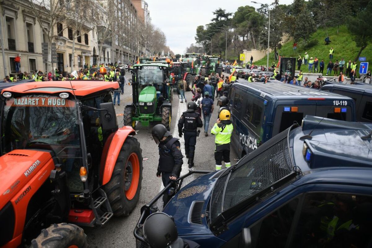 Décimosexta jornada de protestas de los tractores en las carreteras españolas para pedir mejoras en el sector  / FERNANDO SÁNCHEZ