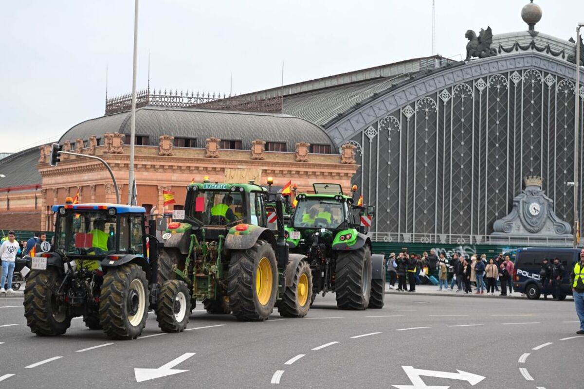 Protestas de los agricultores en Madrid  / FERNANDO VILLAR