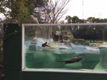 El Zoo cierra este miércoles para retirar amianto de un tejado