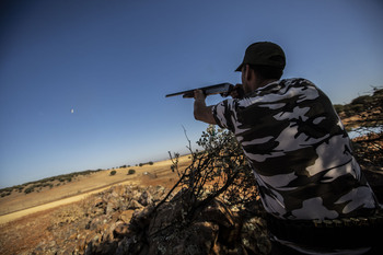 Las licencias de caza se incrementan un 11% en la provincia