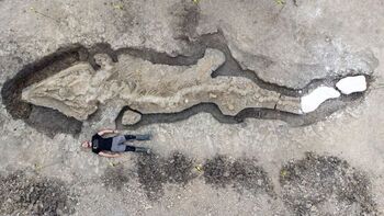 Hallado el fósil de un dragón marino en una laguna inglesa