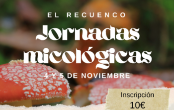 El Recuenco organizará unas jornadas micológicas en noviembre