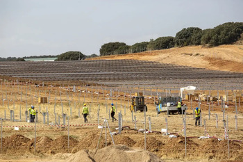 Dalma interpone recursos a plantas de energía solar y eólica