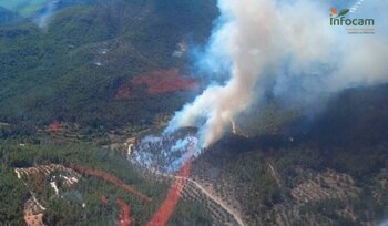 Se declara un incendio forestal en Alcantarilla (Albacete)