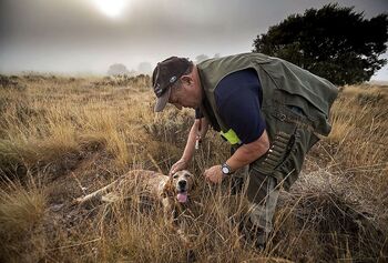 El sector de la caza no se fía de la Ley de Bienestar Animal