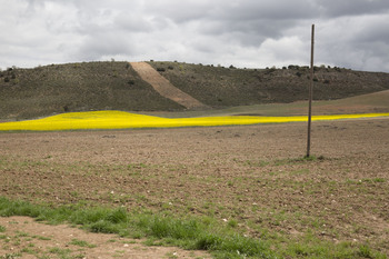 El año echa el telón con 118.000 parcelas afectadas por sequía