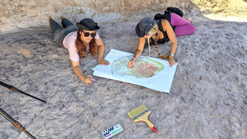 Aparecen nuevas huellas fósiles del Cretácico en Tamajón