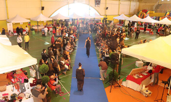 Muchas ventas y público en la Feria del Comercio de Cabanillas