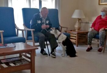 La Vivienda de Mayores de Horche ofrece terapia con perros