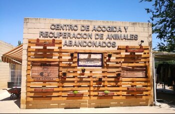 Tan sólo La Camada opta a la gestión del albergue de animales