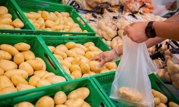 Mercadona prevé comprar 94.000 toneladas de patatas nacionales